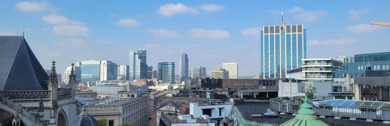 Vue de Bruxelles